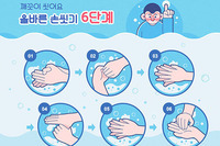 [칼럼] 겨울철 바이러스성 질환 기승…올바른 손 씻기 중요